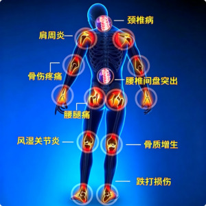 藏红花人参舒骨贴